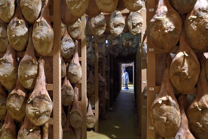 France, Pyrenees Atlantiques, Basque Country, Aldudes valley, the Aldudes collective dryer ensures the drying and the ripening of hams, ripening area