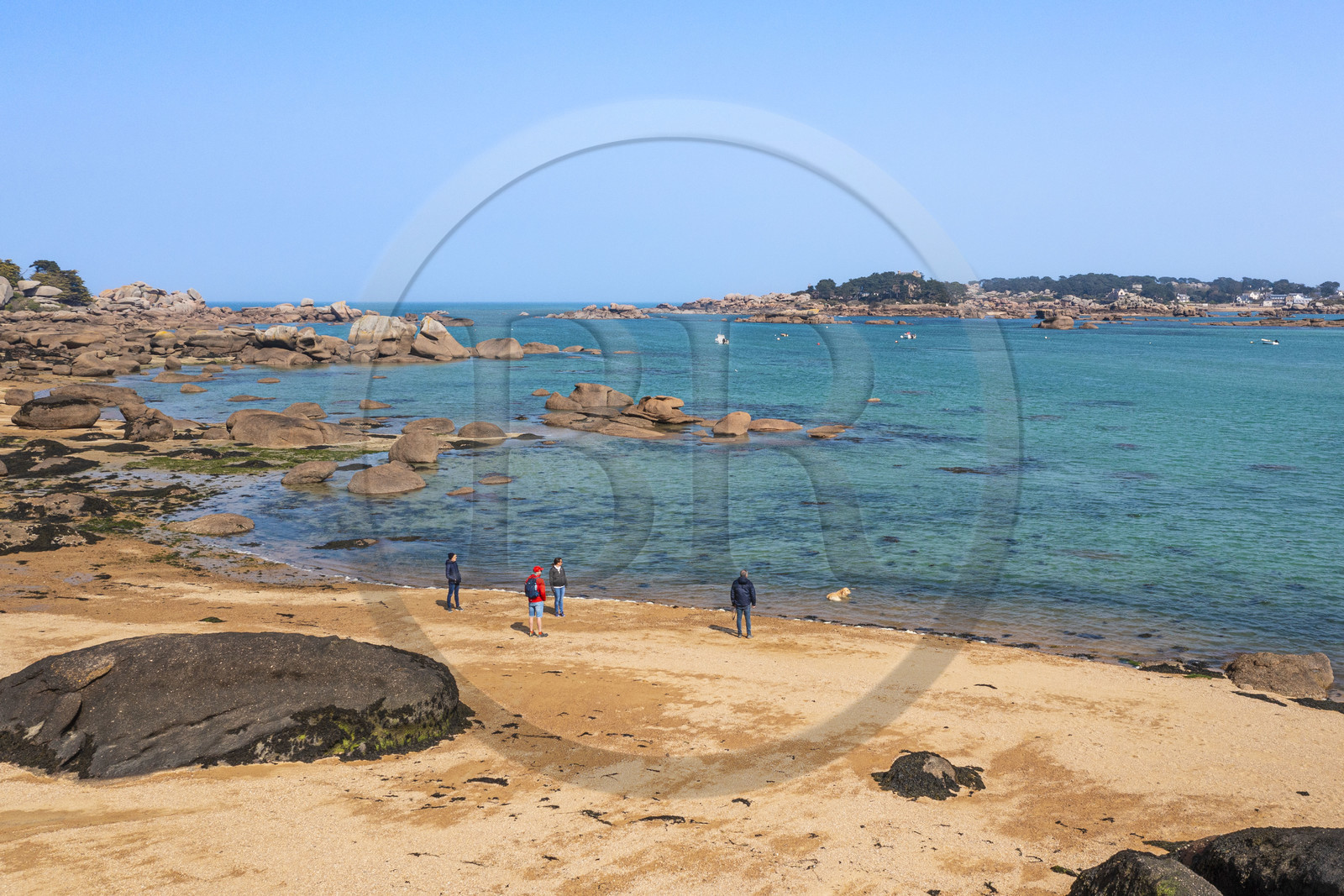 France, Côtes-d'Armor (22), Côte de Granit Rose, Trégastel, Ile Renote, la plage à marée basse (vue aérienne)