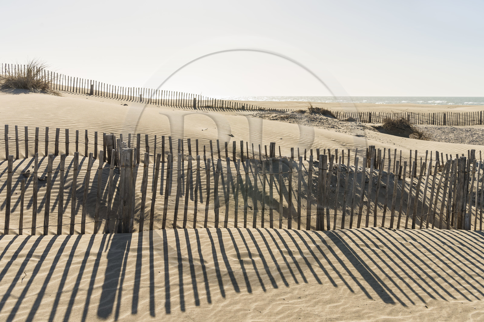 France, Gard (30), massif dunaire camarguais de la Pointe de l'Espiguette en bord de mer