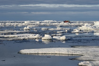 Groenland, cote Nord-Ouest, Smith sound au nord de la baie de Baffin, morceaux de glace de la banquise arctique en train de fondre et un PolarCirkel boat (zodiac) d'exploration du bateau de croisière MS Fram de la compagnie Hurtigruten