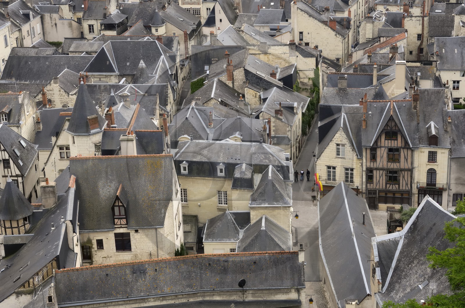 France, Indre et Loire (37), Vallée de la Loire classée Patrimoine Mondial de l' UNESCO, Chinon, la vieille ville vue depuis le château