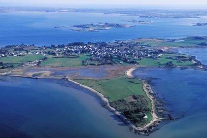 France, Morbihan, the Gulf of Morbihan, Ile d' Arz (aerial view)