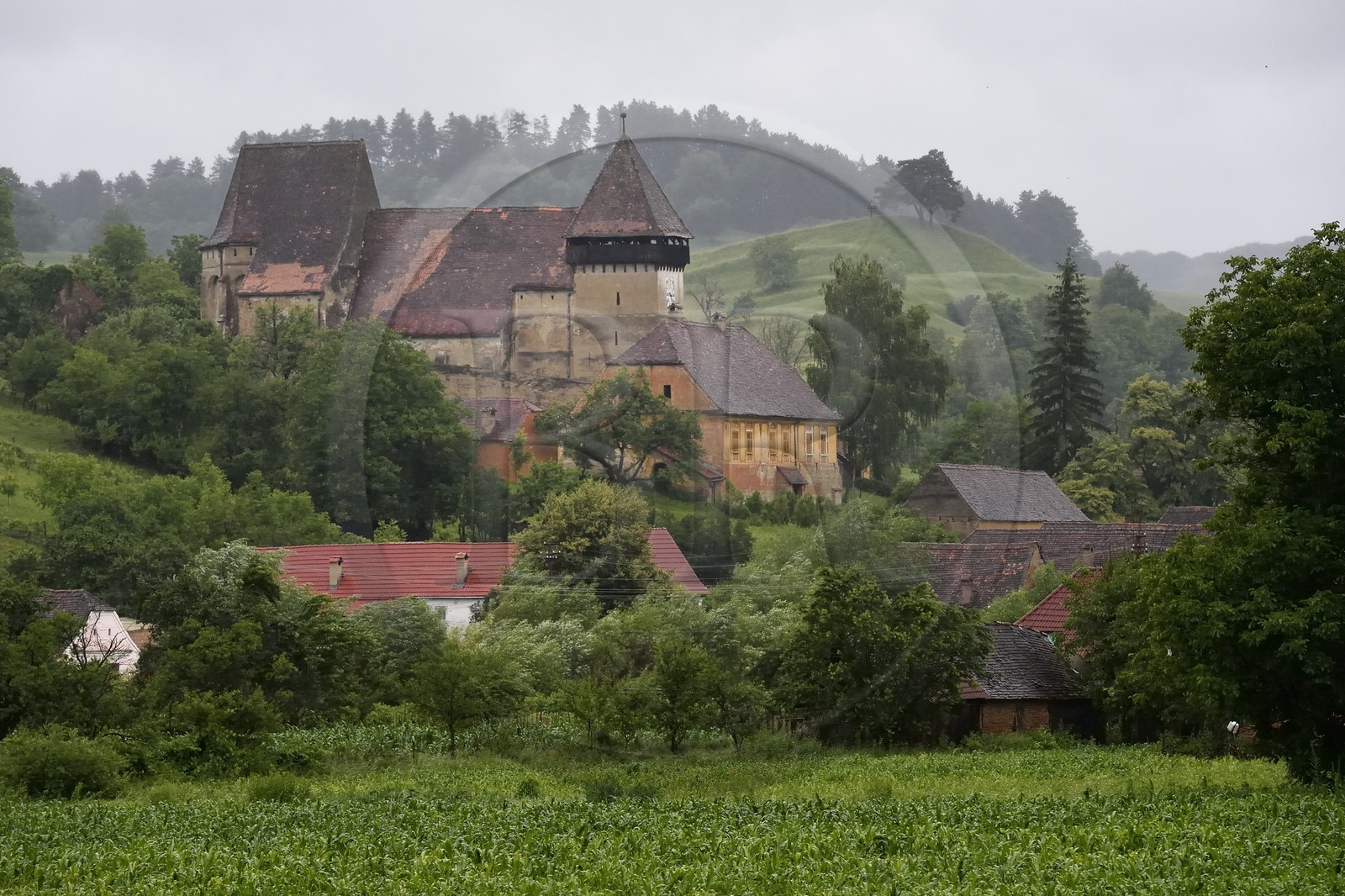 Roumanie, Transylvanie, région de Biertan, Copsa Mare, église fortifiée