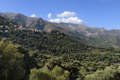 France, Haute Corse, Balagne, perched village of Belgodere