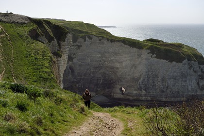 France, Seine-Maritime (76), Pays de Caux, Côte d'Albâtre, Etretat, la pointe de la Courtine dans les falaises d'Aval que longe le GR21