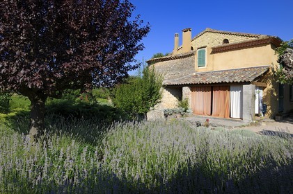 France, Var (83), Provence Verte, Bras, vers Saint-Maximin-la-Sainte-Baume, la maison d'hôtes Le Peyrourier, une campagne en Provence