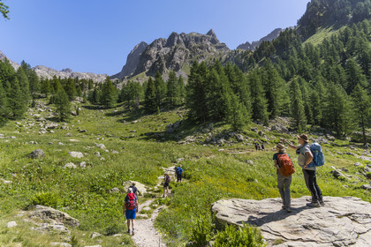 France, Alpes-Maritimes, Parc National du Mercantour (Mercantour national park), Haute Vesubie, Saint Martin Vesubie, Val du Haut Boréon, hike on the GR 52 towards the refuge of Cougourde, Peïrastreche under the Cirque de Cougourde in the background