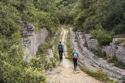 France, Gard, Vers Pont du Gard, stone quarries on the route of the Roman aqueduct of Nimes, deep ruts left in the rock of the path by the wheels of the carts that have traveled there since Roman times