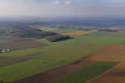 France, Seine-Maritime (76), Sainte-Foy, champs et prés de la campagne normande (vue aérienne)