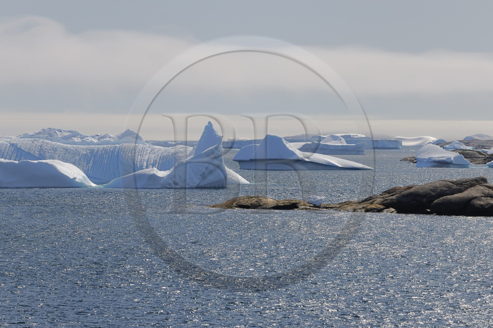 Groenland, fjord de Nanortalik au sud du pays, icebergs
