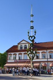 Sweden, Dalarna County, the  most popular in Sweden Leksand midsummer celebrations, uprising the maypole