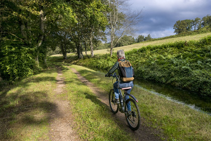 France, Nievre, Regional Natural Park of Morvan, Montreuillon, cyclist on the path along the Rigole d'Yonne which draws water from the Yonne at Lake Pannecière and feeds the Nivernais Canal