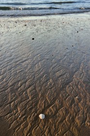 France, Calvados (14), Pays d'Auge, la côte Fleurie, Cabourg, la plage de la station balnéaire