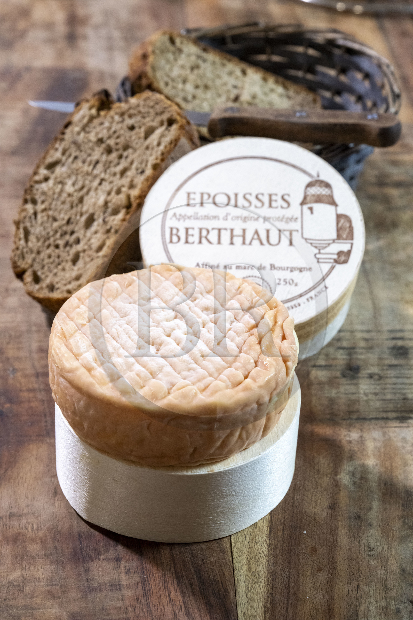 France, Côte-d'Or (21), Epoisses, le château d'Epoisses