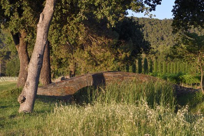 France, Bouches du Rhone,  Le Puy Sainte Reparade, Chateau La Coste vineyard and contemporary art center, Donegal by designer Larry Neufeld (Compulsory Mention)