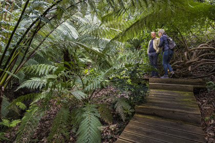 France, Côtes-d'Armor, Plouguiel, the Kestellic Botanical Garden, classified as a remarkable garden, Guirec Maréchal Riou