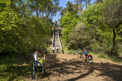 France, Vendée (85), La Barre-de-Monts, belvédère du Pey de la Blet, l'escalier dans le ciel au coeur de la forêt, cycliste sur la piste de la véloroute Vendée Vélo Tour et Vélodyssée