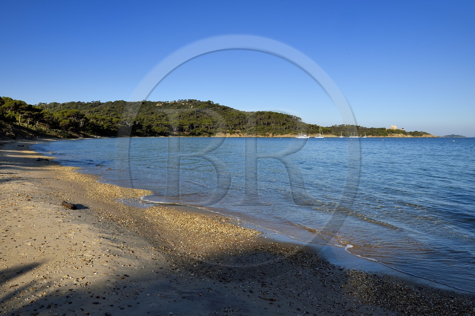 France, Var (83), Iles d'Hyères, parc national de Port Cros, Ile de Porquerolles, Baie de  l'Alycastre, plage Notre-Dame et le Fort de l'Alycastre en arrière plan