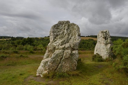 France, Ille-et-Vilaine, Saint-Just, megalithic monuments of the Lande de Cojoux, menhirs called Les Demoiselles