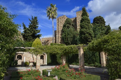 Espagne, Andalousie, Malaga, la Alcazaba, patio de Armas