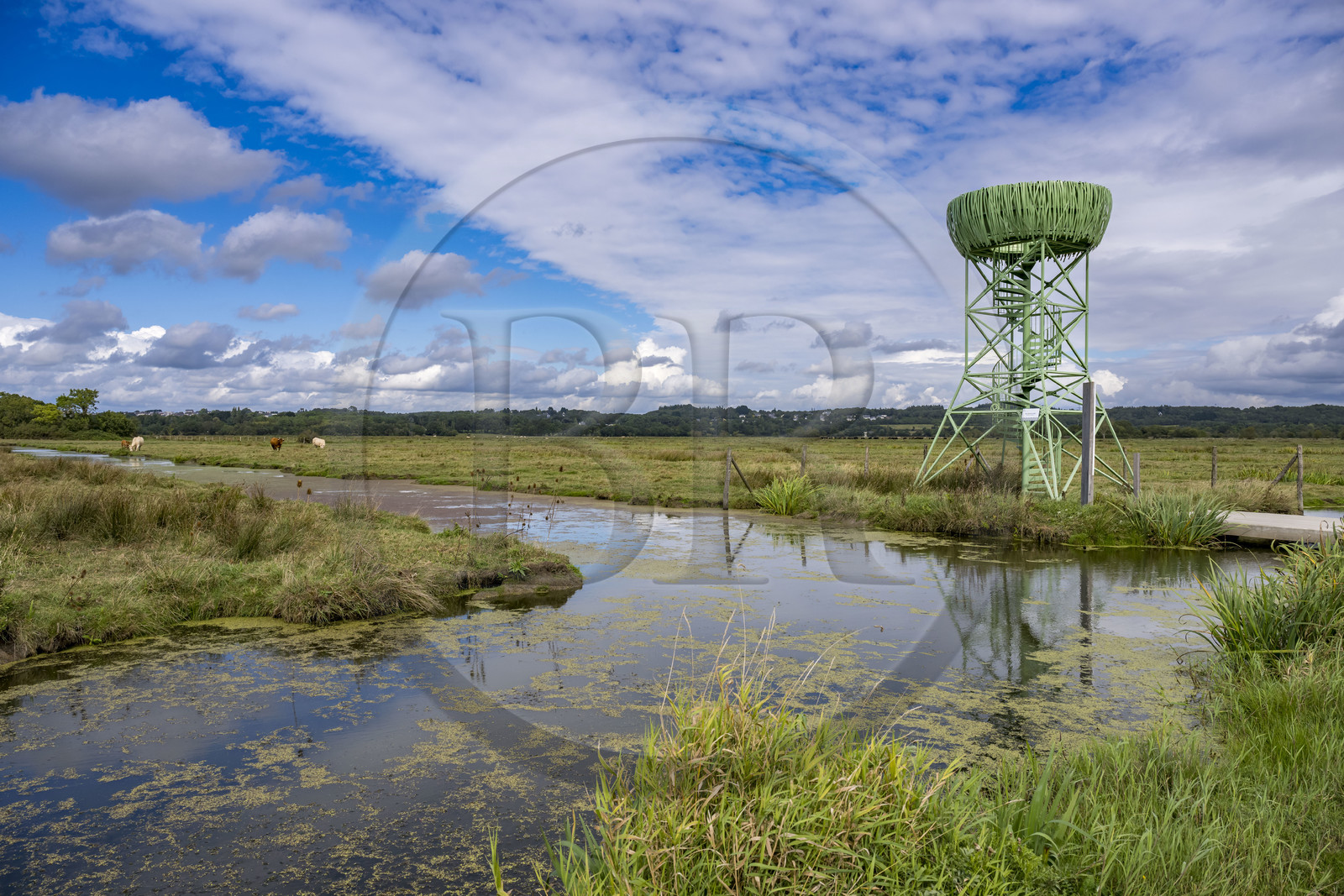 France, Loire Atlantique, Lavau sur Loire, the Nest-Observatory from Marais du Syl is one of three belvederes that look like large storks' nests located in the Estuaire et Sillon area.