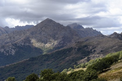 France, Haute Corse, Balagne, the mountains bordering the Giussani seen from the Bocca di a Battaglia and the Tartagine forest climbing towards the Monte Padro