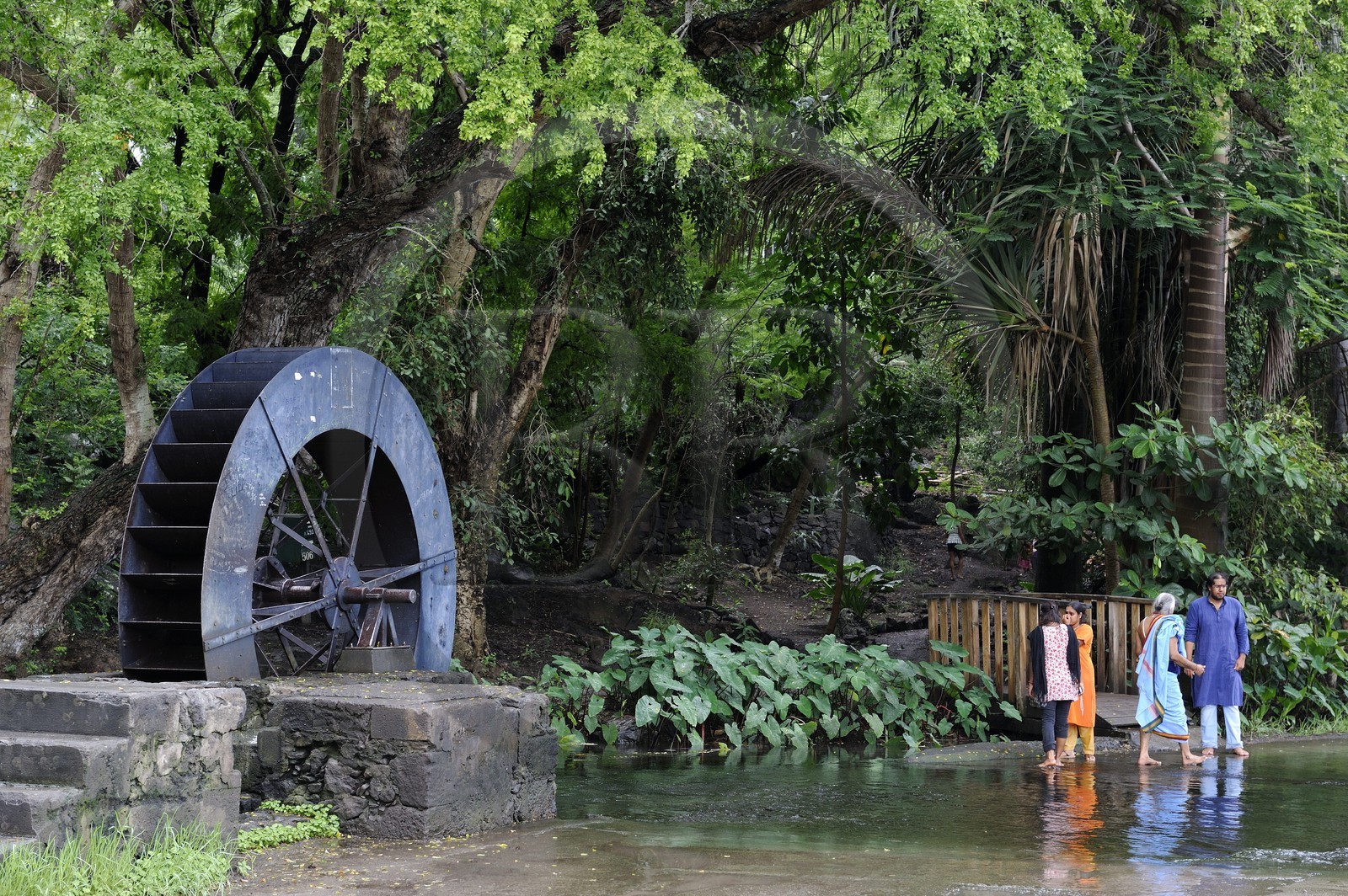 France, île de la Réunion, commune de Saint-Paul, le chemin du Tour des Roches, moulin à eau de La Perrière, la roue est le dernier élément d'un moulin à manioc des années 1820 et radier immergé