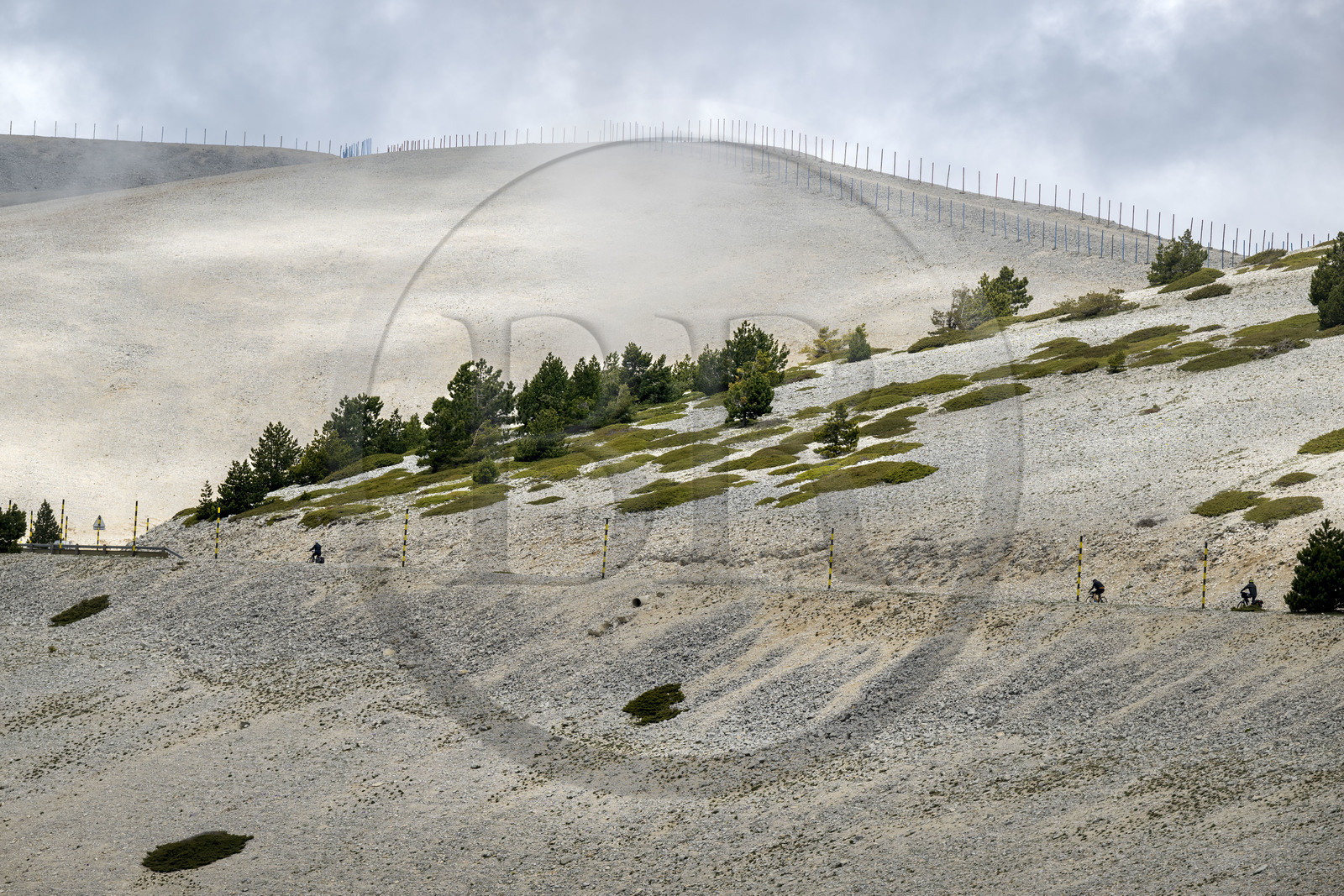 France, Vaucluse, Parc Naturel Regional du Mont Ventoux, Bedoin, bike ascent of Mont Ventoux by the D974 road on the southern slope towards the summit, scree covered here and there with dwarf junipers