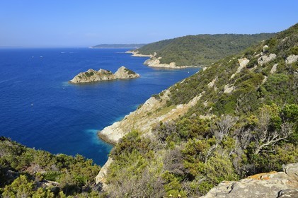 France, Var (83), Iles d'Hyères, Parc national de Port Cros, Ile de Port-Cros, plage de la Palud, Johann Cerisier, garde moniteur du parc national de Port-Cros en tournée de surveillance au rocher du Rascas (en arrière plan)