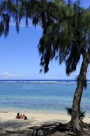 France, île de la Réunion, la Cote Ouest, plage du lagon de Saint-Gilles-Les-Bains à l'Ermitage-les-Bains et filaos