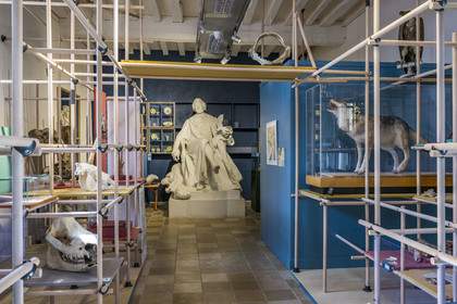 France, Côte-d'Or (21), Montbard, Musée Parc Buffon, statue de Buffon tronant au centre des vitrines montrant des espèces réelles et imaginaires dont un crane de licorne ou encore loup-garou empaillé