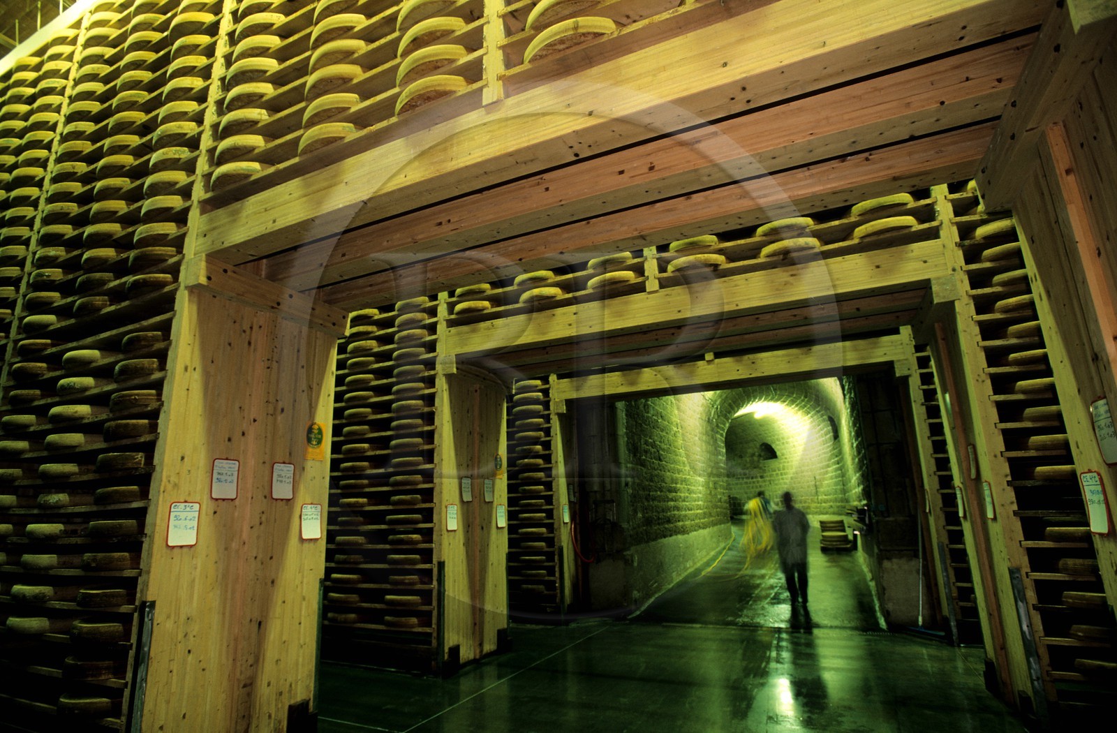 France, Doubs (25), Fort Saint Antoine, cave d'affinage du Comté de montagne