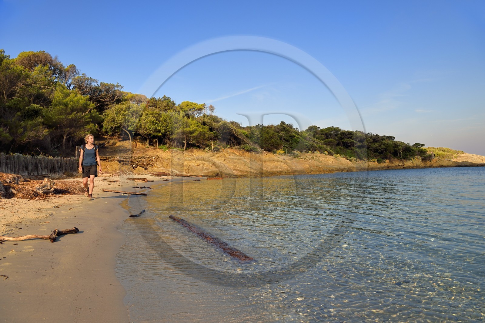 France, Var (83), Iles d'Hyères, parc national de Port Cros, Ile de Port-Cros, plage du Sud-ouest