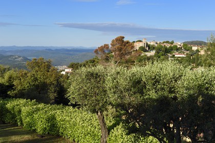 France, Alpes-Maritimes, Grasse region, the hilltop village of Cabris