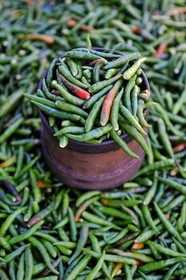France, île de la Réunion, Saint-Pierre, le marché du samedi, petit piments verts très fort
