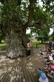 France, Morbihan (56), forêt de Brocéliande, le Chêne à Guillotin aussi appelé chêne Eon est chêne creux de plus de 1000 ans, une guide et des élèves lors d'une sortie scolaire