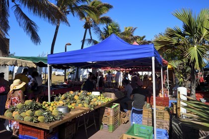 France, Reunion island (French overseas department), Saint-Pierre, the Saturday market, the pineapple fruit stalls
