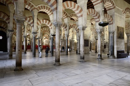 Spain, Andalusia, Cordoba, historical center listed as World Heritage by UNESCO, Mezquita, the Mosque cathedral, the forest of arches and colonnades illustrates the monumentality of the Umayyad Art of Cordoba