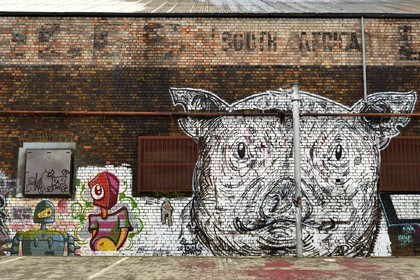 Afrique du Sud, province de Gauteng, Johannesburg, CBD (Central Business District), Newtown, peintures murales sur les murs des entrepots sous l'autoroute M1 De villiers Graaff motorway