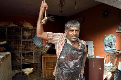Sri Lanka, Western Province, Colombo District, Colombo, the poultry market in the district of Pettah