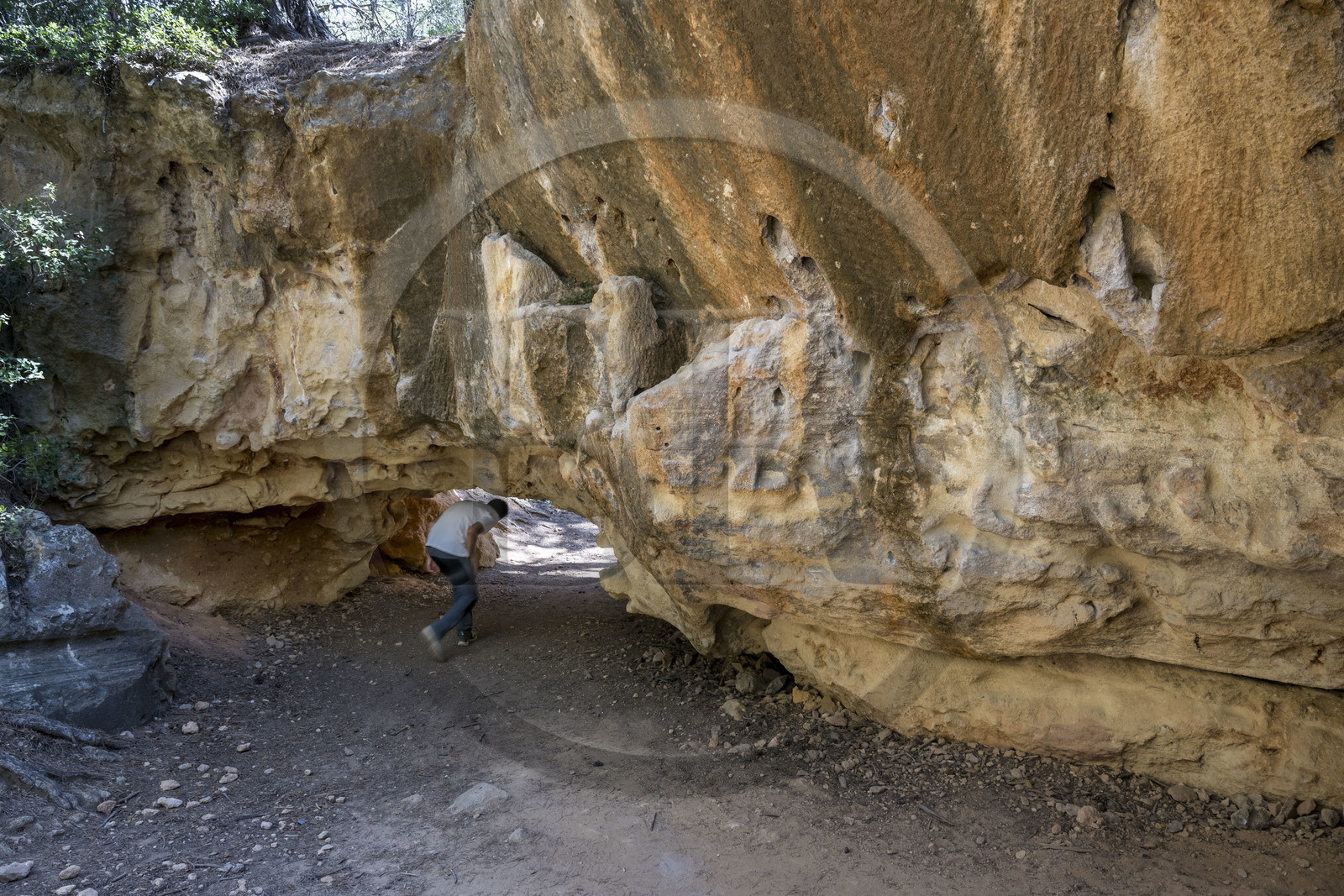 France, Bouches du Rhone, Aix en Provence, Bibemus plateau, the Bibemus quarries which inspired many of Cézanne's paintings