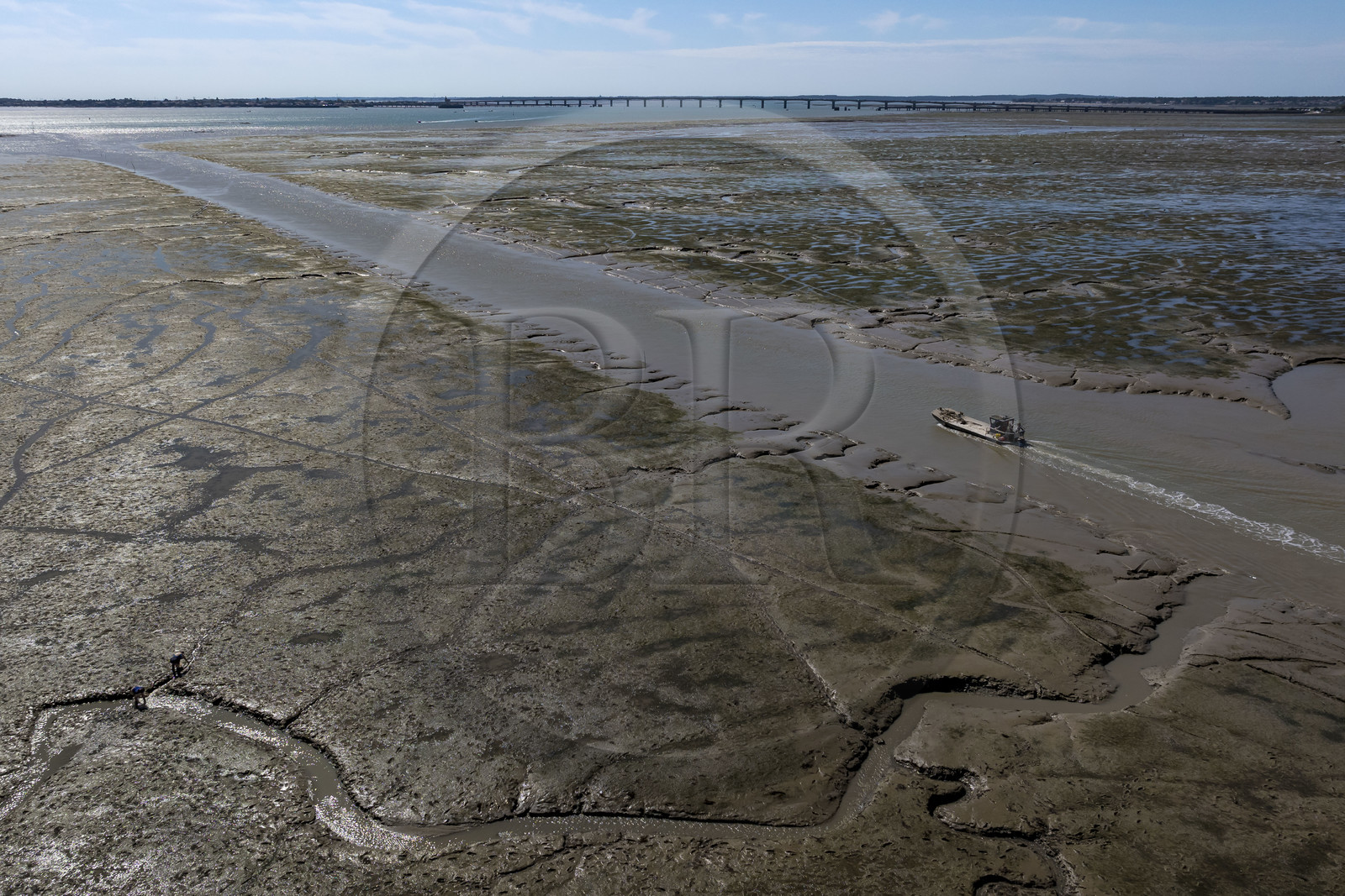 France, Charente-Maritime (17), Ile d'Oléron, le Chateau-d'Oléron, bateau ostréicole dans le chenal de sortie du port à marée basse et pecheurs à pied sur l'estran (vue aérienne)