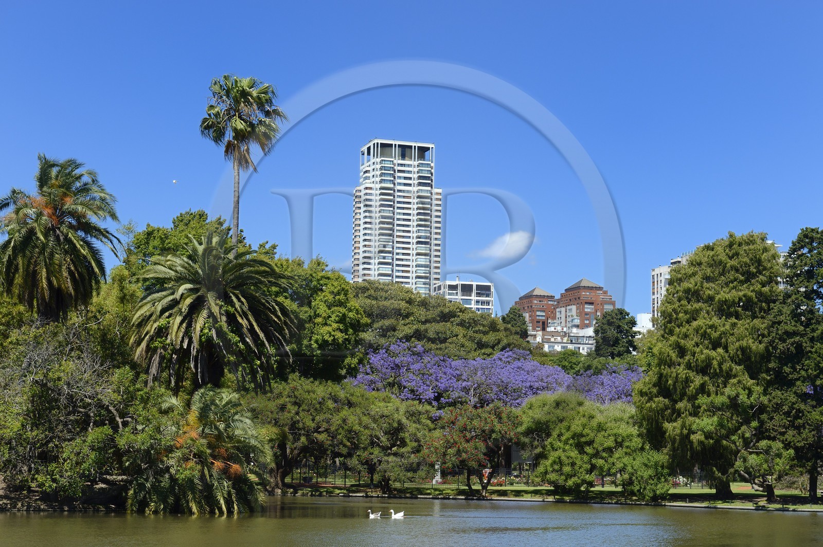 Argentine, Buenos Aires, le parc de Palermo, lac de la plaza Holanda