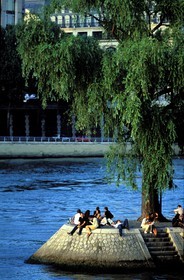 France, Paris (75), les rives de la Seine, classées Patrimoine Mondial de l'UNESCO, derniers rayons de soleil sur la pointe de l' île de la Cité