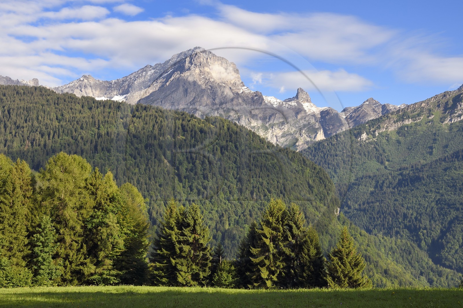 Suisse, canton de Vaud, Gryon, panorama sur le massif de l'Argentine surplombant Solalex Suisse, canton de Vaud, Gryon, panorama sur le massif de l'Argentine surplombant Solalex