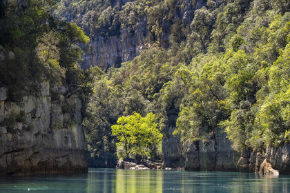Var on the Left Bank and Alpes de Haute Provence on the Right Bank, Parc Naturel Regional du Verdon, Basses Gorges du Verdon downstream of Lake St. Croix, gorges de Baudinard
