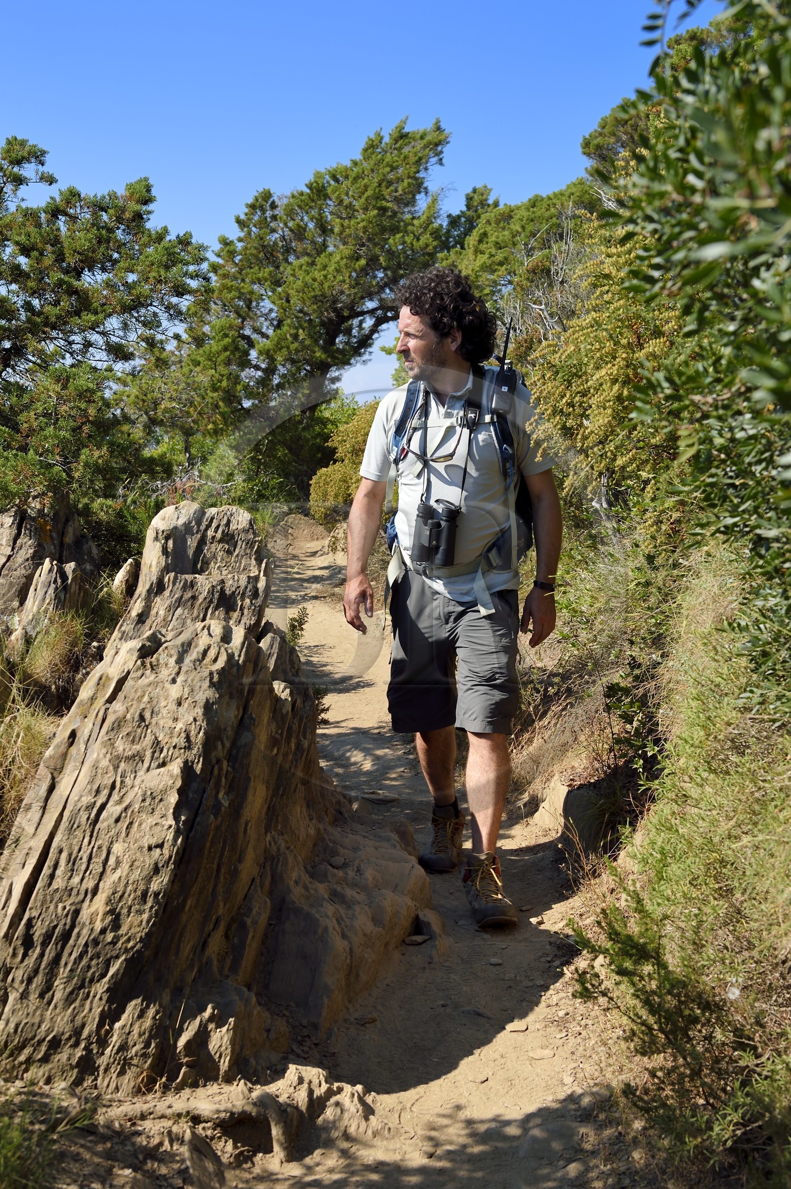 France, Var, Iles d'Hyeres, Parc national de Port Cros (National park of Port Cros), Port-Cros island, Johann Cerisier, supervisor of the Port-Cros National Park on a surveillance tour