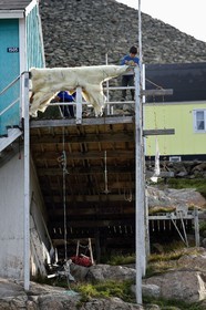 Groenland, cote ouest, baie de Baffin, Upernavik, jeune inuit montrant la peau d'un ours polaire chassé par son père