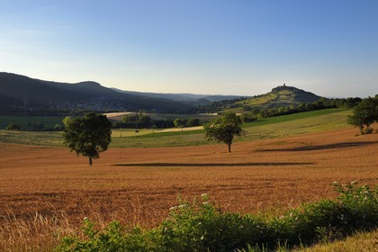 France, Puy-de-Dôme (63), Ceyrat, champ de blé et Chateau de Montrognon en arrière plan