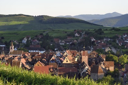 France, Haut Rhin, the Alsace Wine Route, Riquewihr, labelized the Most Beautiful Villages of France